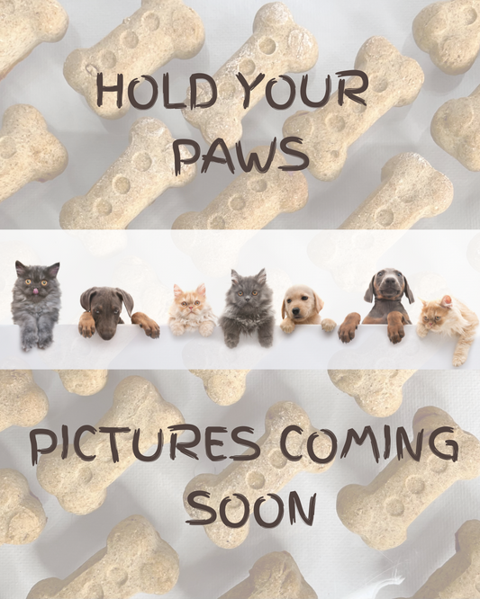 MINT CHOC CHIP BISKIES