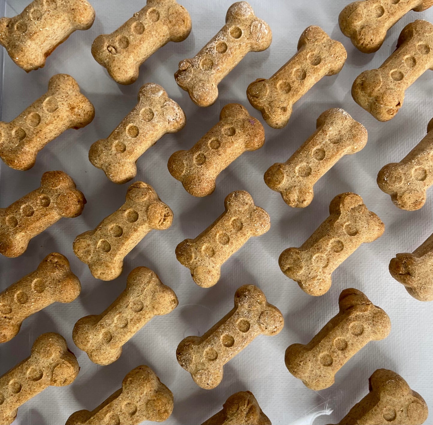 LIL' CHICK 'N CHEDDAR